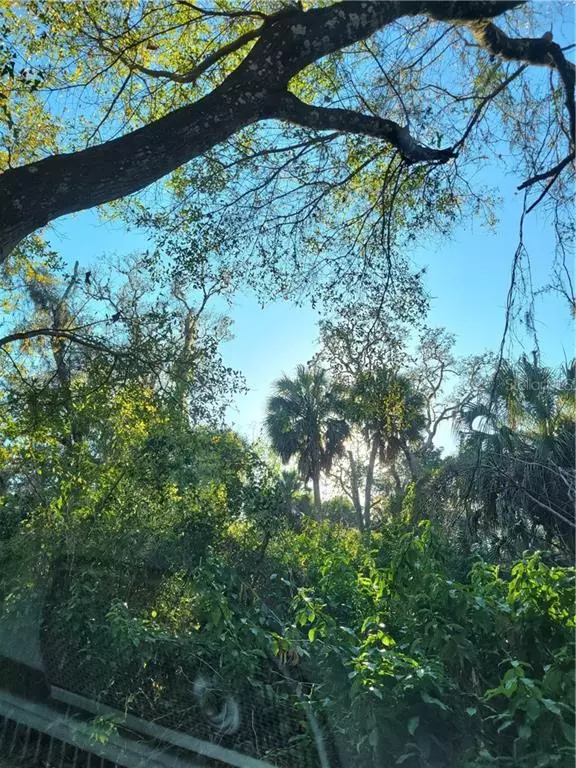 Aripeka, FL 34679,00 PREVATT LN #Lot 1