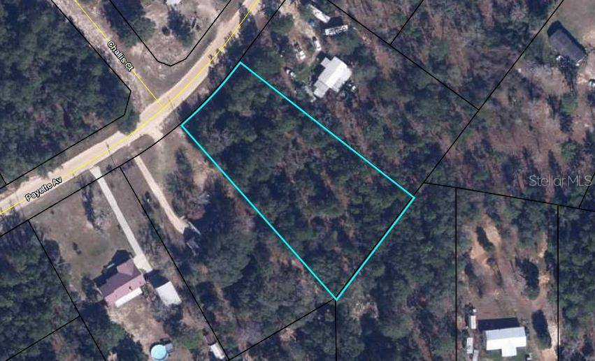 5691 PAYETTE AVE, Keystone Heights, FL 32656