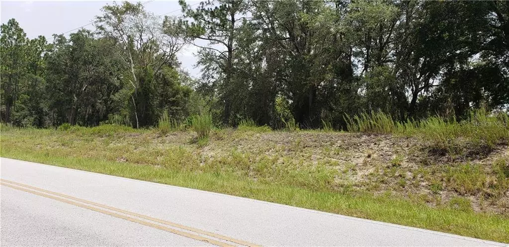 Lot 6 SE SR 121, Morriston, FL 32668