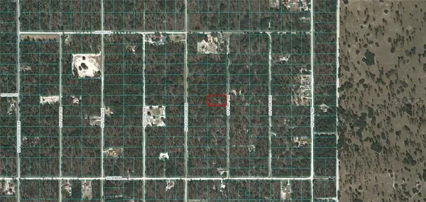 Dunnellon, FL 34432,0 SW 123 TERRACE