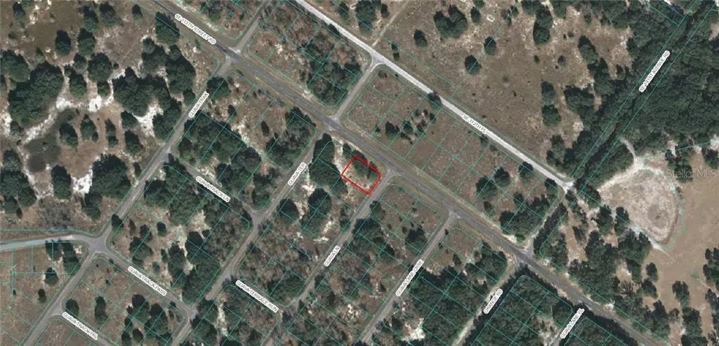 GUAVA LANE, Ocklawaha, FL 32179