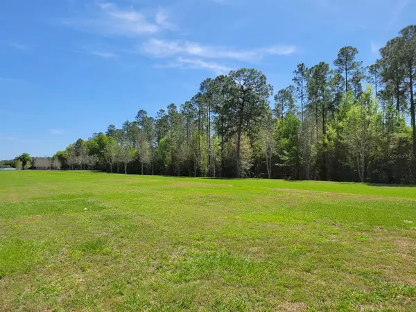 Summerfield, FL 34491,0 SE 159TH LN #Lot 33