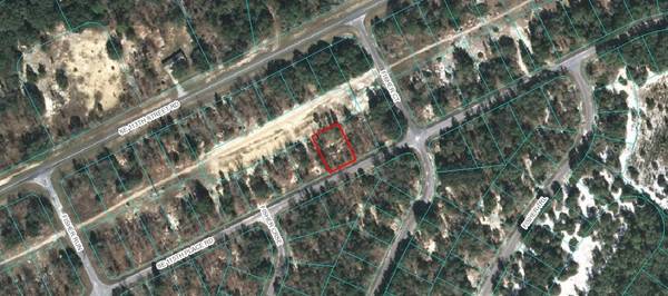 TBD SE 115TH PL #Rd, Ocklawaha, FL 32179