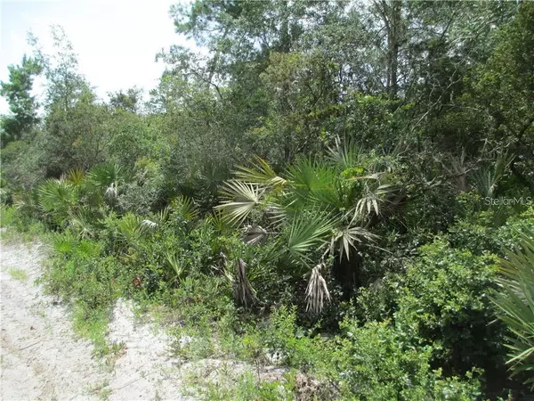 Umatilla, FL 32784,0 SE 145TH PL