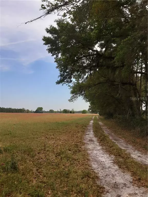 Chiefland, FL 32626,00 NW 42 PL