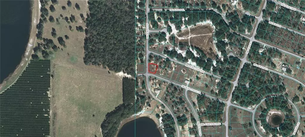 Ocklawaha, FL 32179,MALAUKA CIRCLE LANE