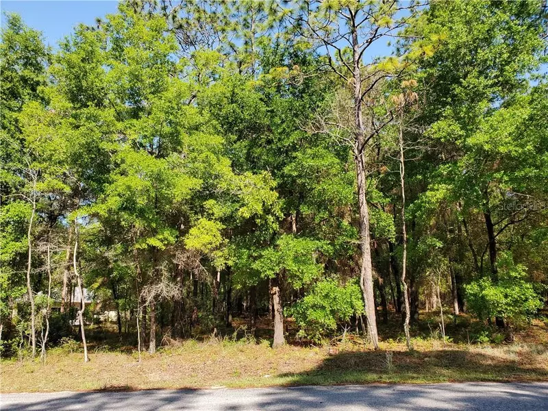 LOT 16 SW 73RD LOOP, Dunnellon, FL 34432