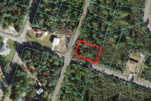 0 FISHER TRACE TRAIL, Ocklawaha, FL 32179