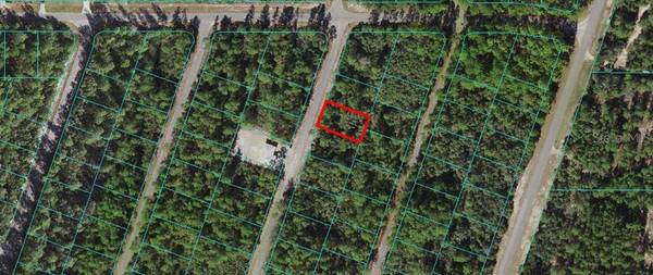 0 FISHER WAY TRAK, Ocklawaha, FL 32179