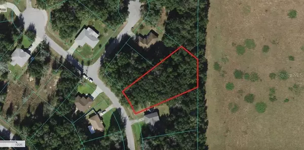 TBD PINE TRACE CRSE, Ocala, FL 34472