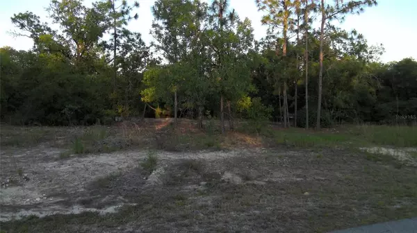 Dunnellon, FL 34431,tbd SW GARDENIA CT