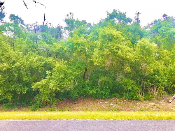 Ocala, FL 34476,Lot 255S SW 115 ST