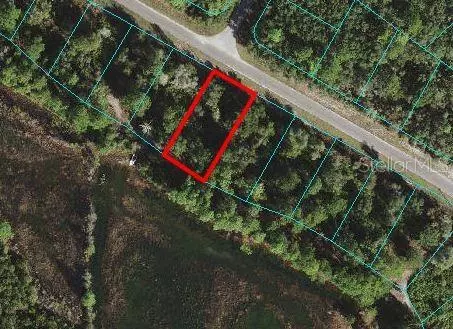 TBD FISHER WAY, Ocklawaha, FL 32179