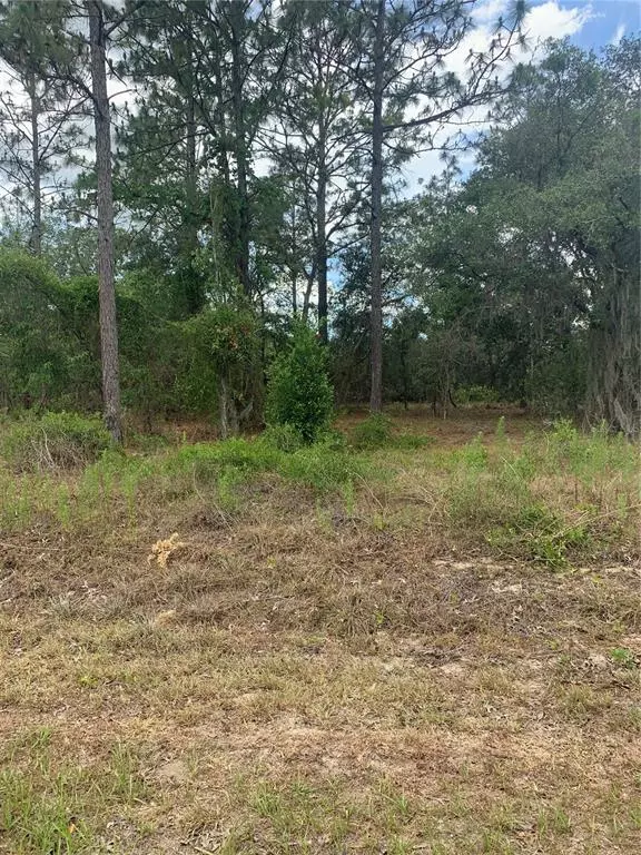 Dunnellon, FL 34432,Lot 37 SW LOBELIA CT