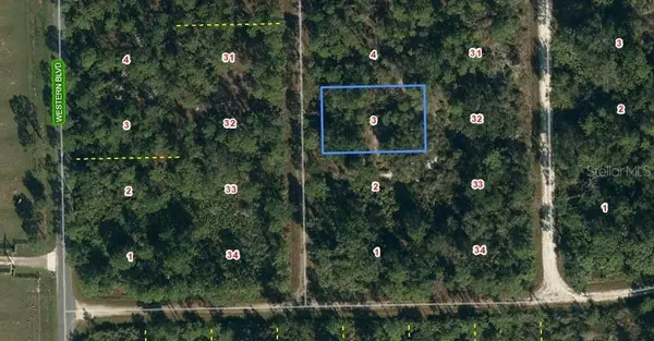 639 COOPER ST, Lake Placid, FL 33852