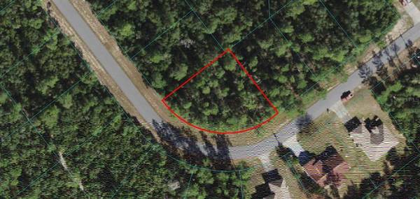 TBD Lot 10 SW 165TH ST RD, Ocala, FL 34473