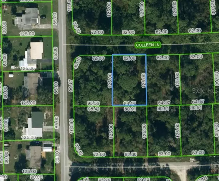 205 COLLEEN LN, Lake Placid, FL 33852