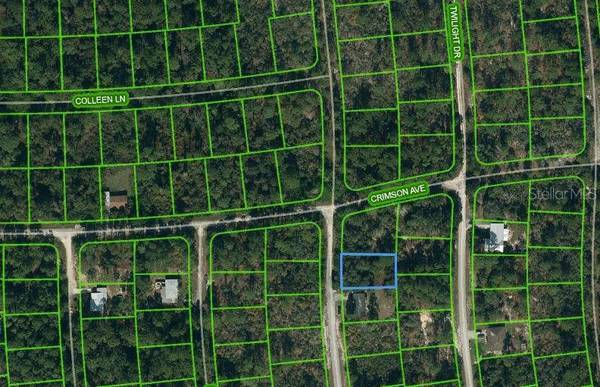 233 DREAMERS DR, Lake Placid, FL 33852