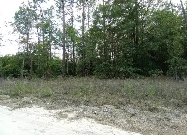 0 NE 100TH ST,  Bronson,  FL 32621