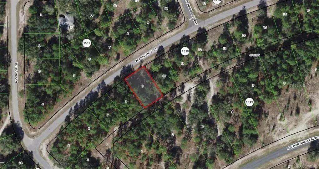 Citrus Springs, FL 34433,2864 W BRAGANZA ST