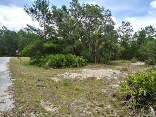 Ocklawaha, FL 32179,Lot 31 SE 115TH PL