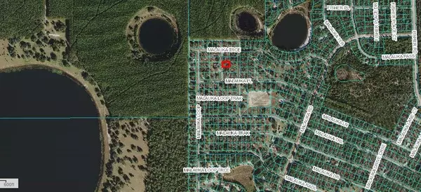 Ocklawaha, FL 32179,Lot 5 MALAUKA PLACE TRL