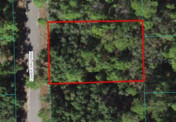 Lot 2 FISHER WAY TRAK, Ocklawaha, FL 32179