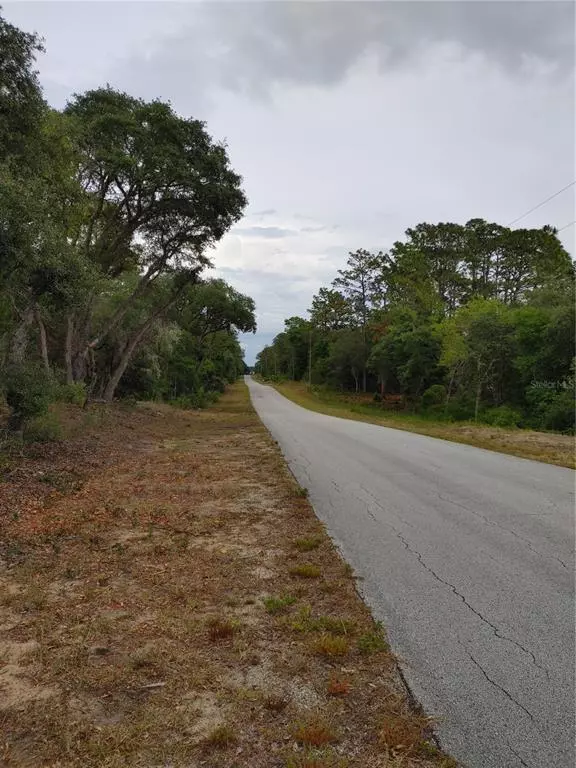 Dunnellon, FL 34431,00 SW PINE BLUFFS RD #LOT 20