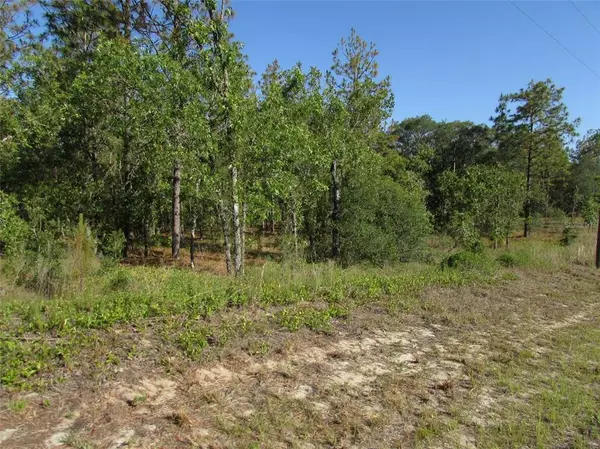 Dunnellon, FL 34431,TBD SW TIMBERLAKE RD