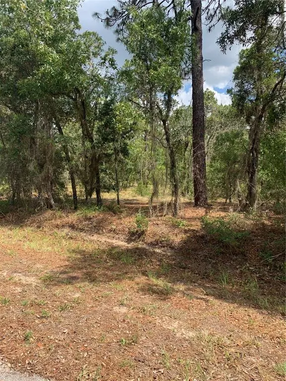 Dunnellon, FL 34431,Lot 21 NW BANYAN