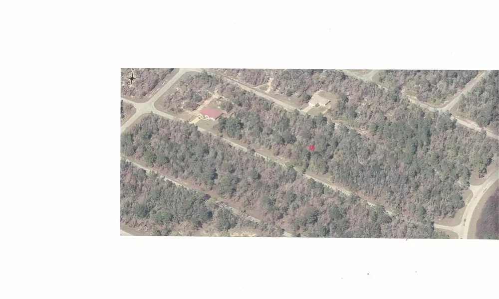 LOT 6 MALAUKA TRAK, Ocklawaha, FL 32179