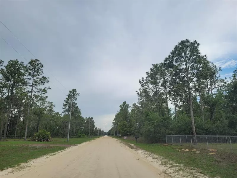 TBD SW 165TH AVE RD, Ocala, FL 34481