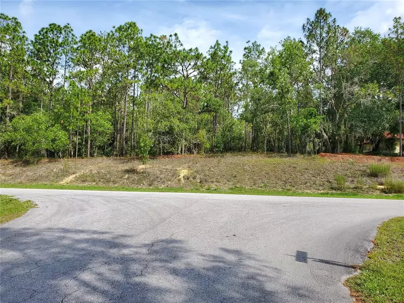 LOT 91 SW 202ND AVENUE RD, Dunnellon, FL 34432