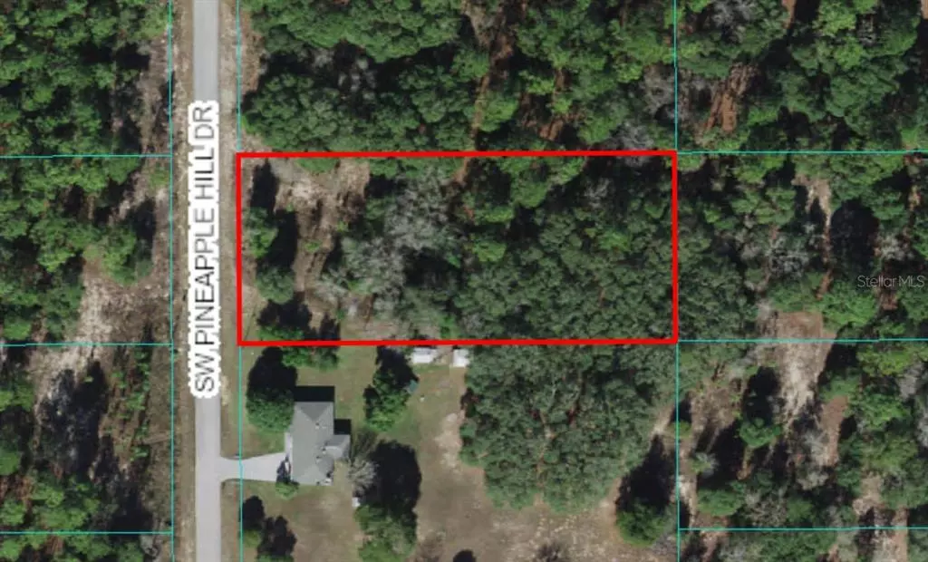 Dunnellon, FL 34431,Lot 30 SW PINEAPPLE HILL DR