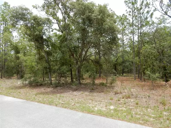 Dunnellon, FL 34431,1970 SW PERSIMMON LN