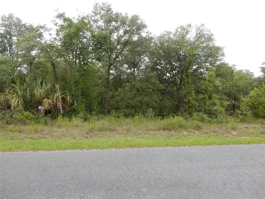 Dunnellon, FL 34431,1970 SW PERSIMMON LN