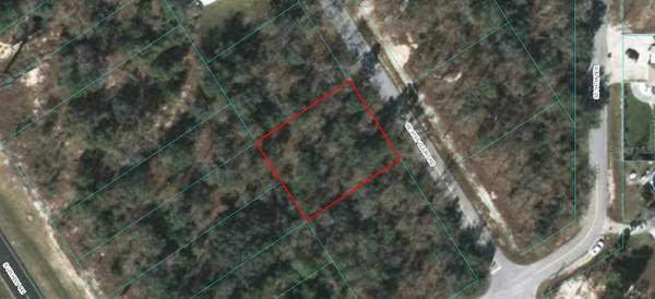 TBD SE 91 COURT RD, Summerfield, FL 34491