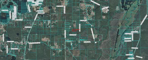 Fort Mc Coy, FL 32134,tbd NE 130 AVE