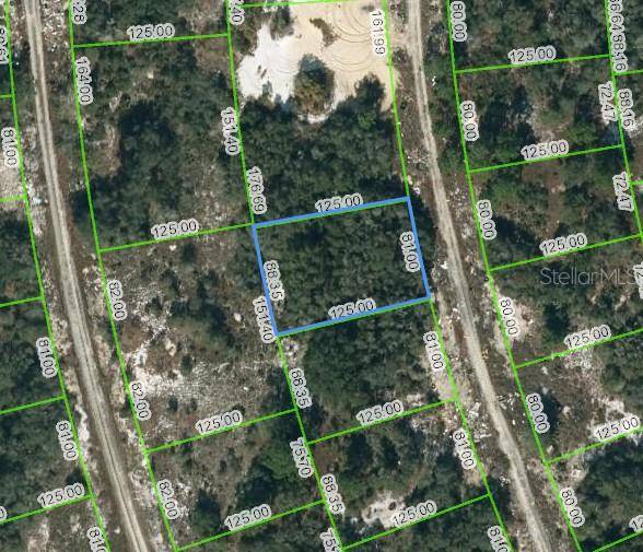 222 DEEP PURPLE DR, Lake Placid, FL 33852