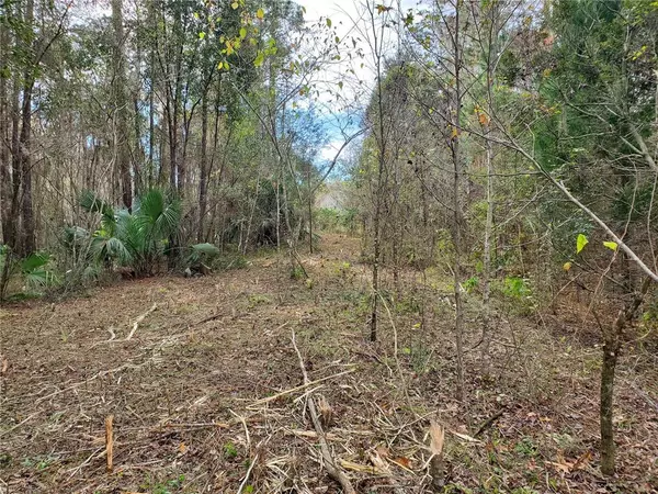 Ocala, FL 34471,Lot 39 SW 25 ST