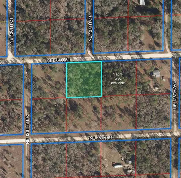 12690 NE 16TH ST, Williston, FL 32696