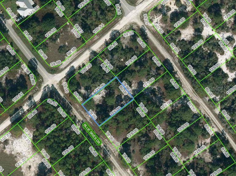 537 BLUE SKIES DR, Lake Placid, FL 33852