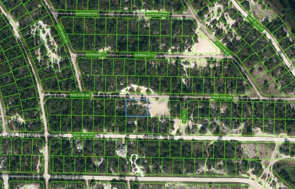 417 WIND ROSE AVE, Lake Placid, FL 33852