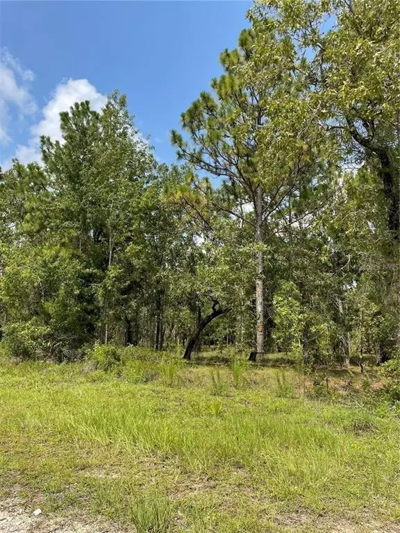 Morriston, FL 32668,000 SE 131ST AVE