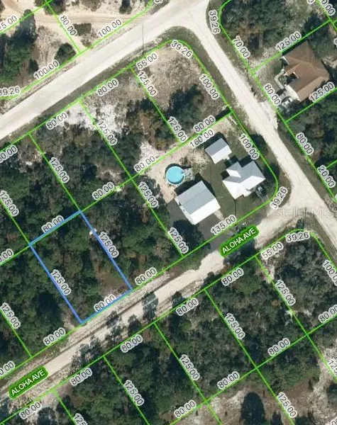 452 ALOHA AVE, Lake Placid, FL 33852