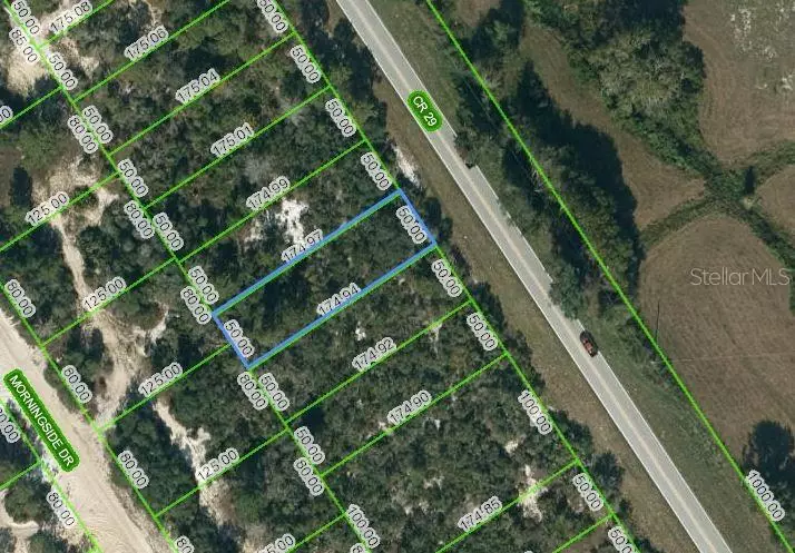 1029 COUNTY ROAD 29, Lake Placid, FL 33852