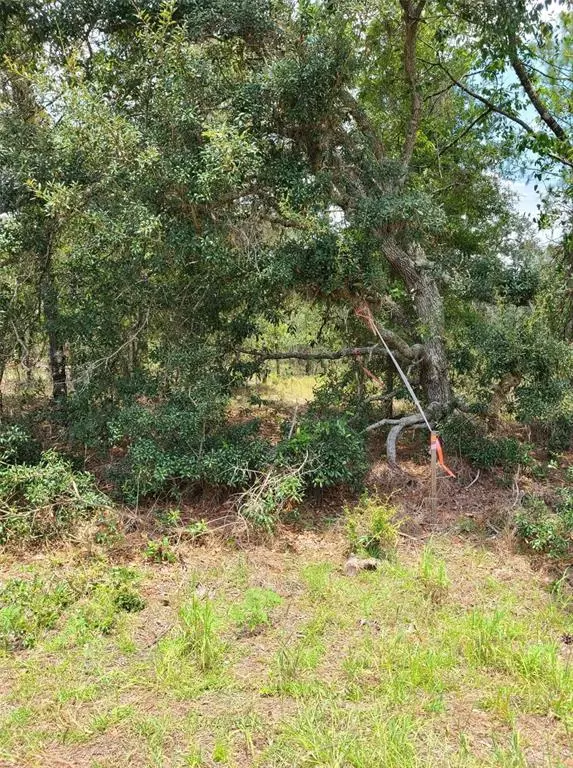 Dunnellon, FL 34431,0 SW NECTARINE LN