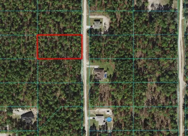 Dunnellon, FL 34432,L6 N 1/2 SW 136TH COURT RD