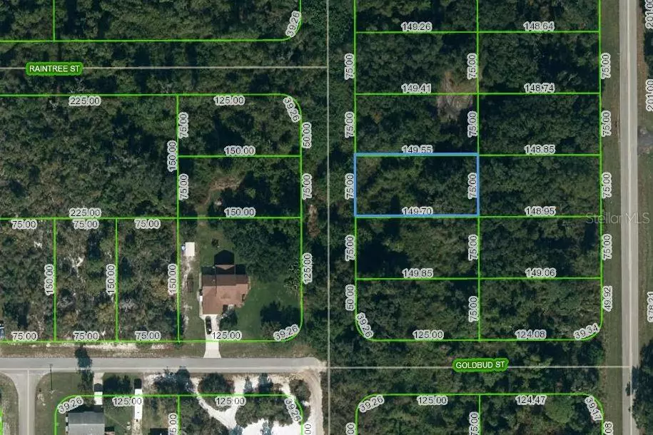 Lake Placid, FL 33852,251 MARSHALL AVE