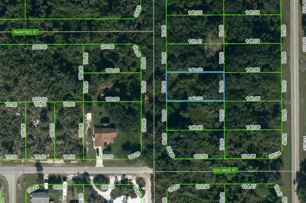 251 MARSHALL AVE, Lake Placid, FL 33852